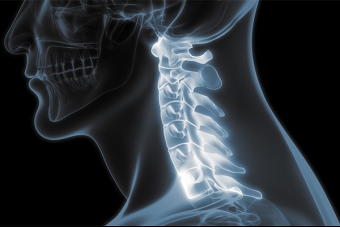 Spine Anatomy: A Comprehensive Guide to Exploring the Backbone