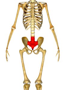 Back Pain and the Sacroiliac Joint (SI joint)