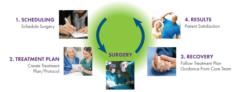 Diagram for the four main stages of OrthoPath